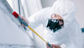 Real Estate Pest Inspections in Mendota Heights, MN